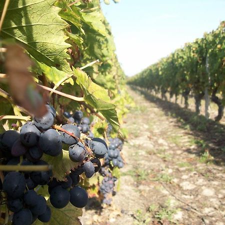 Loire, Chateaux, Et Vignes Onzain Exterior foto